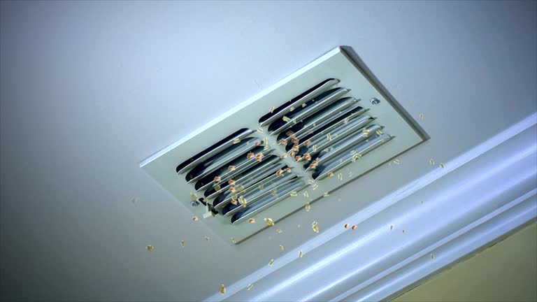 Best Air Duct Cleaning Near Me  in Cedar Mill, OR